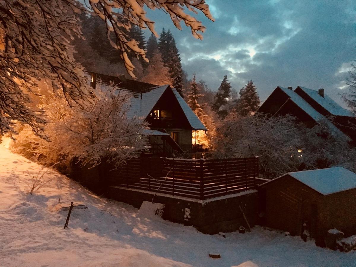 Soho Lodge Rasnov Bagian luar foto