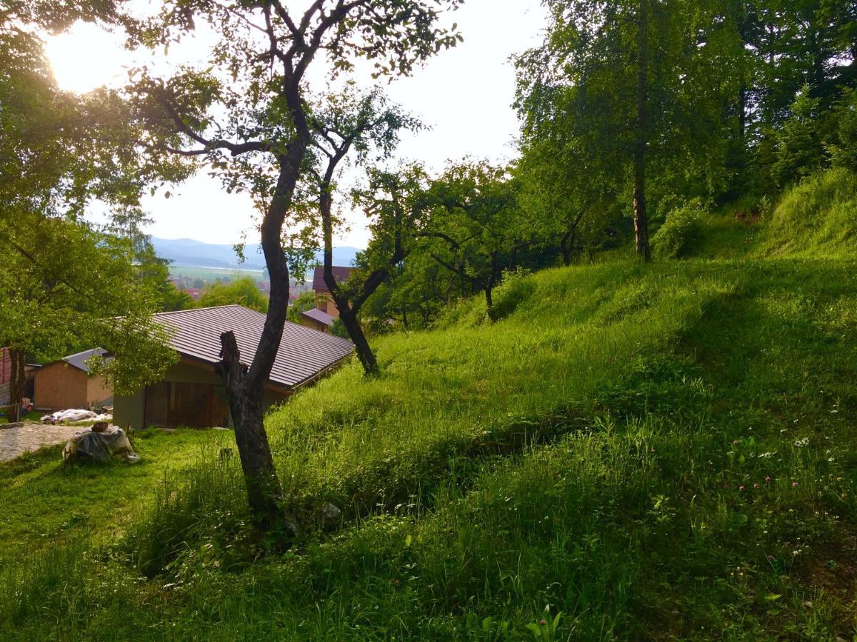 Soho Lodge Rasnov Bagian luar foto