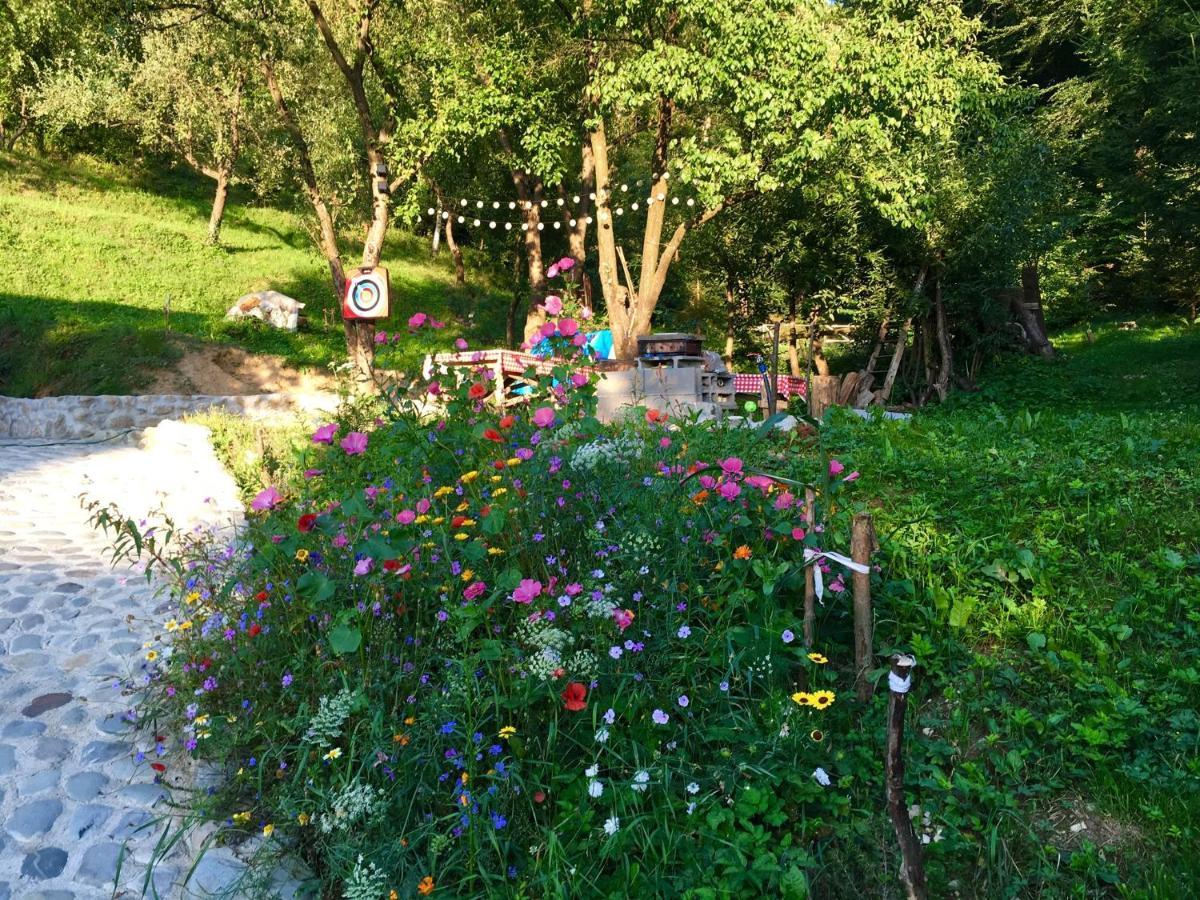Soho Lodge Rasnov Bagian luar foto