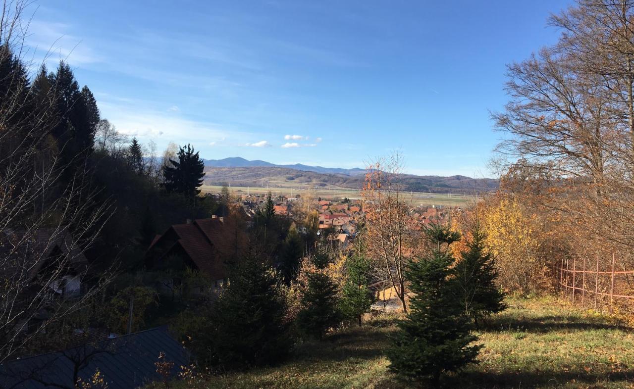 Soho Lodge Rasnov Bagian luar foto