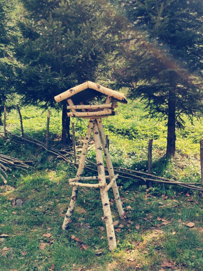 Soho Lodge Rasnov Bagian luar foto