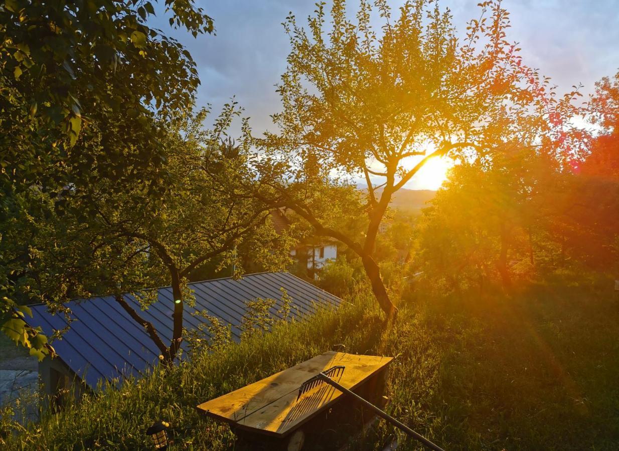 Soho Lodge Rasnov Bagian luar foto