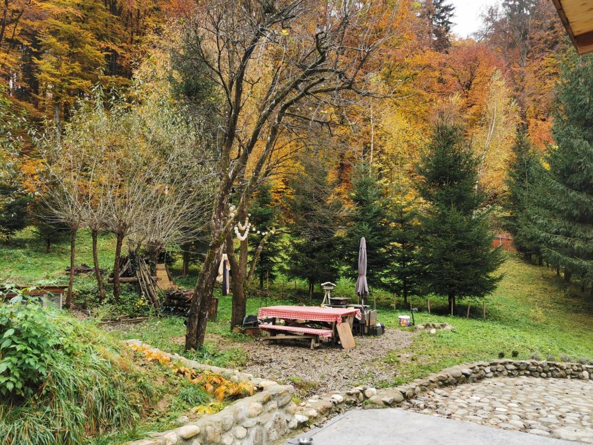 Soho Lodge Rasnov Bagian luar foto