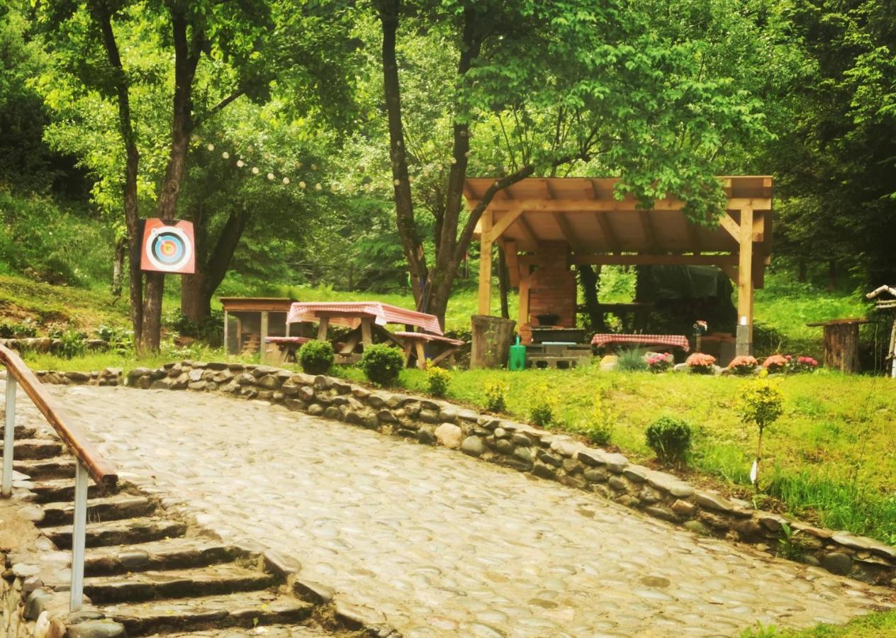 Soho Lodge Rasnov Bagian luar foto