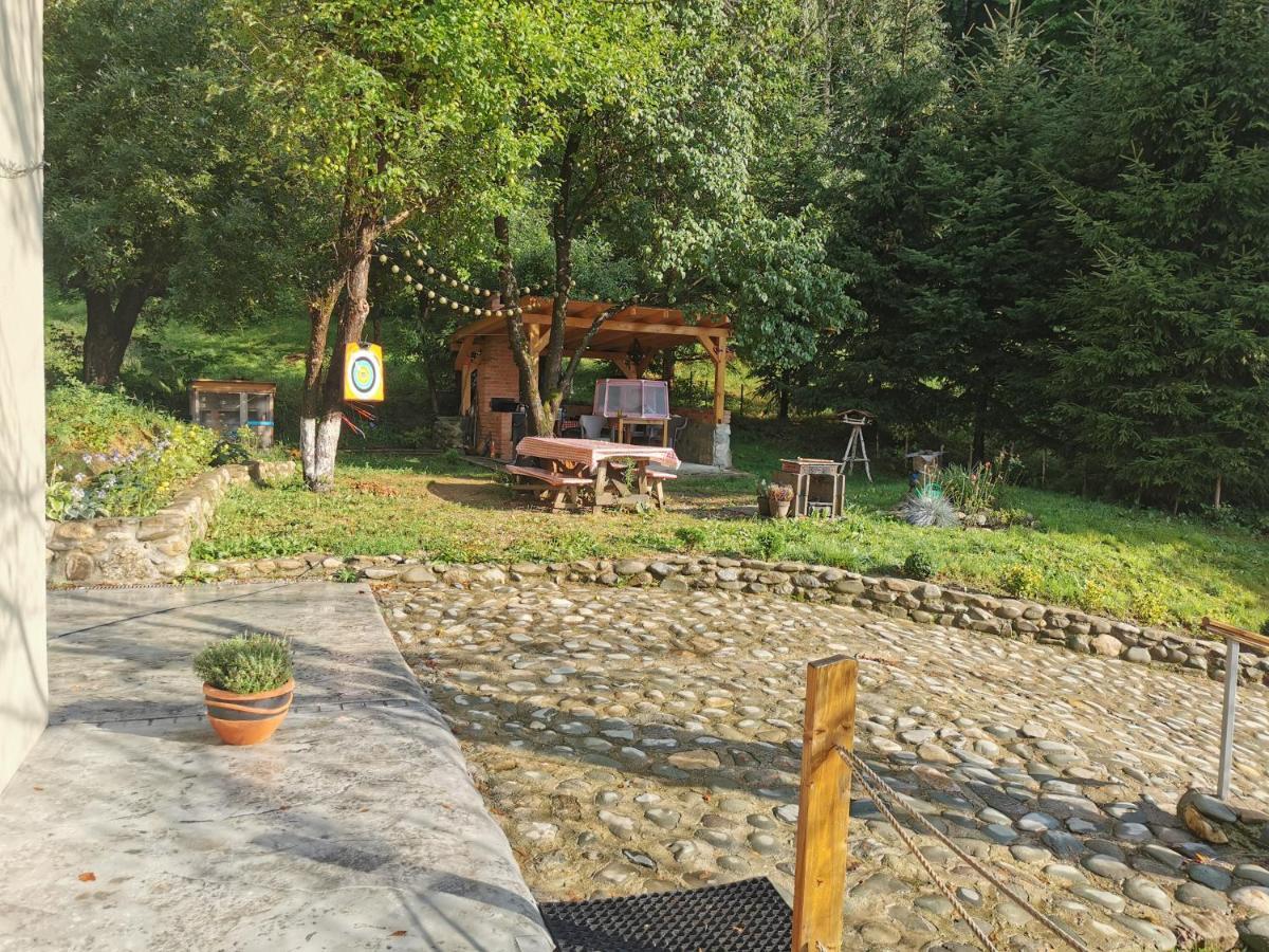 Soho Lodge Rasnov Bagian luar foto
