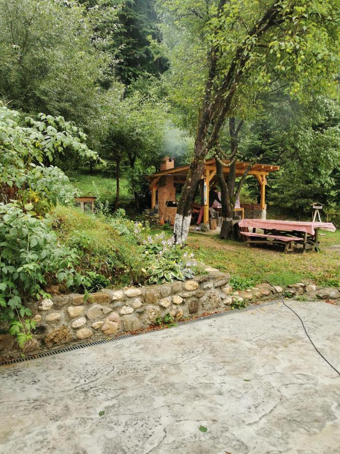 Soho Lodge Rasnov Bagian luar foto