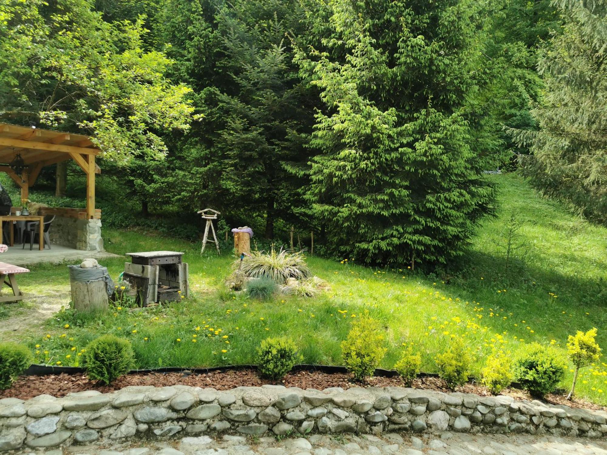 Soho Lodge Rasnov Bagian luar foto